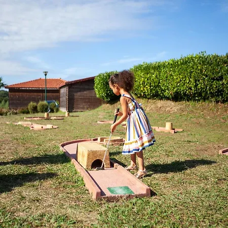 Countryside With Pool